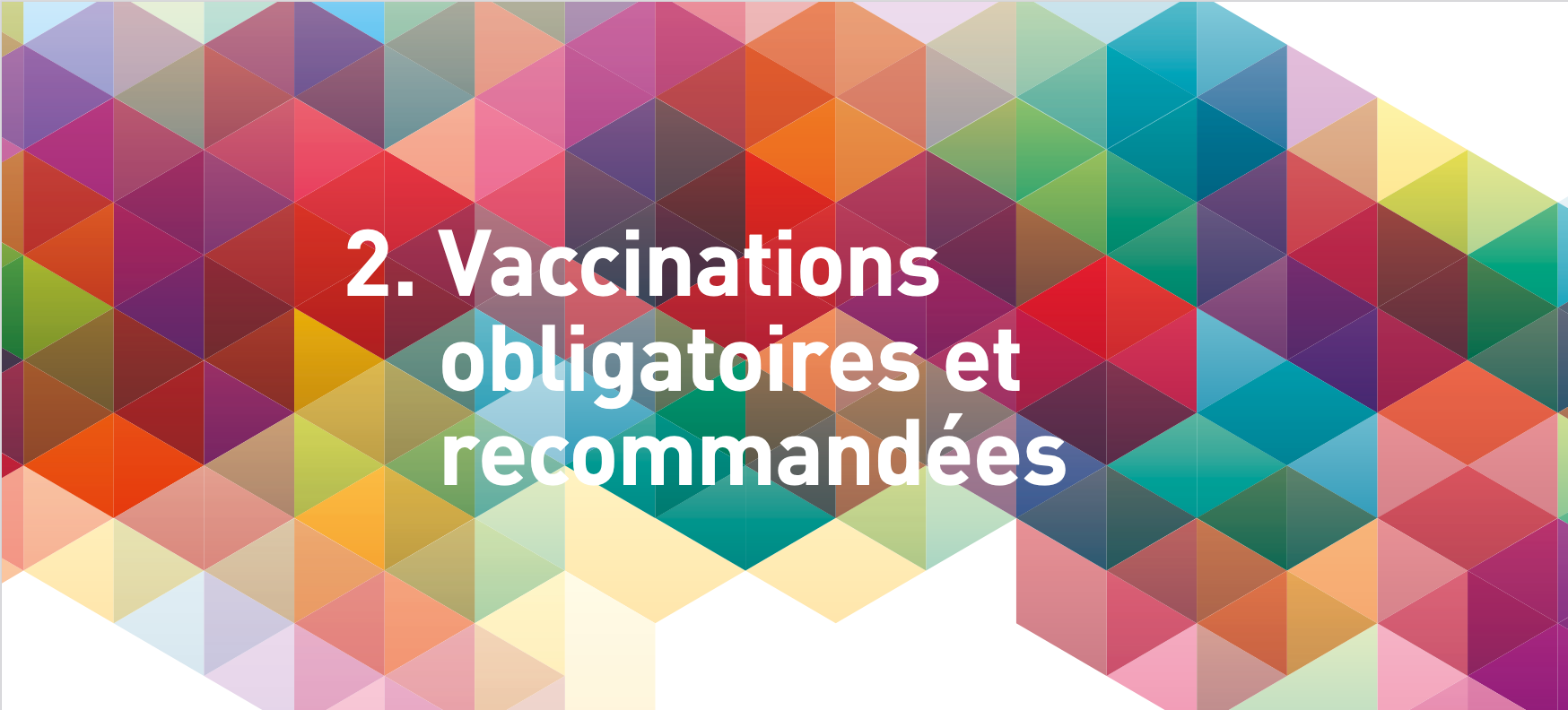 Calendrier des vaccinations et recommandations vaccinales 2021
