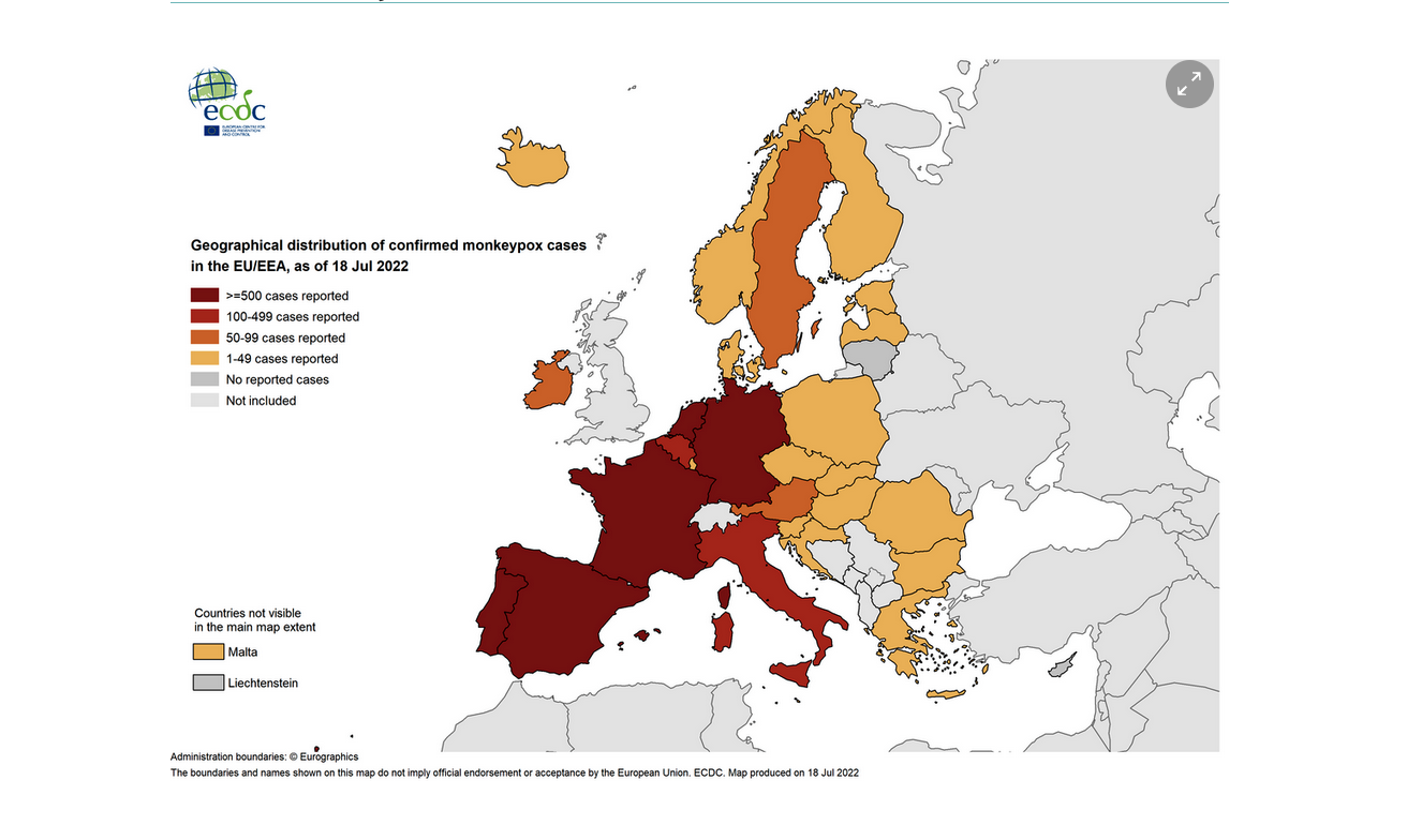 Epidémie de variole dite « du singe » ou monkey pox : place des enfants et préconisations actuelles du GPIP et de la SFP