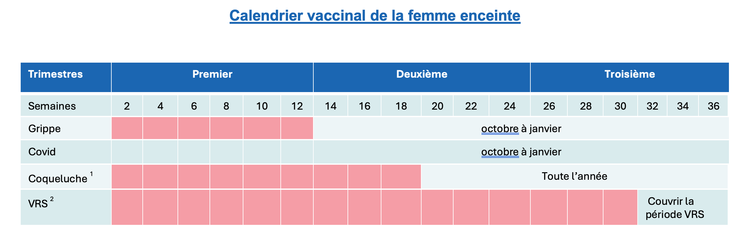 calendrier vacc femme enceinte